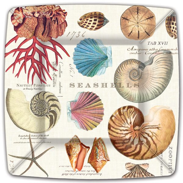 Vintage botanical seashells square paper plate with nautilus, coral, starfish and scallop illustrations, coastal party tableware