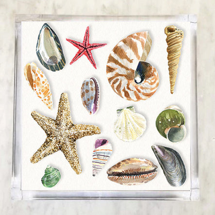 A beautifully arranged collection of hand-painted seashells and starfish displayed on a crisp white background paper napkin. The design includes a variety of ocean treasures such as a golden starfish, nautilus shell, scallops, cowries, conch, and colorful spiral shells styled in an elegant, coastal composition. Perfect for summer entertaining, beach house décor, or nautical-themed events.