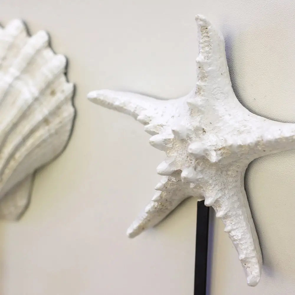 Decorative white starfish and shell wall art on a light background